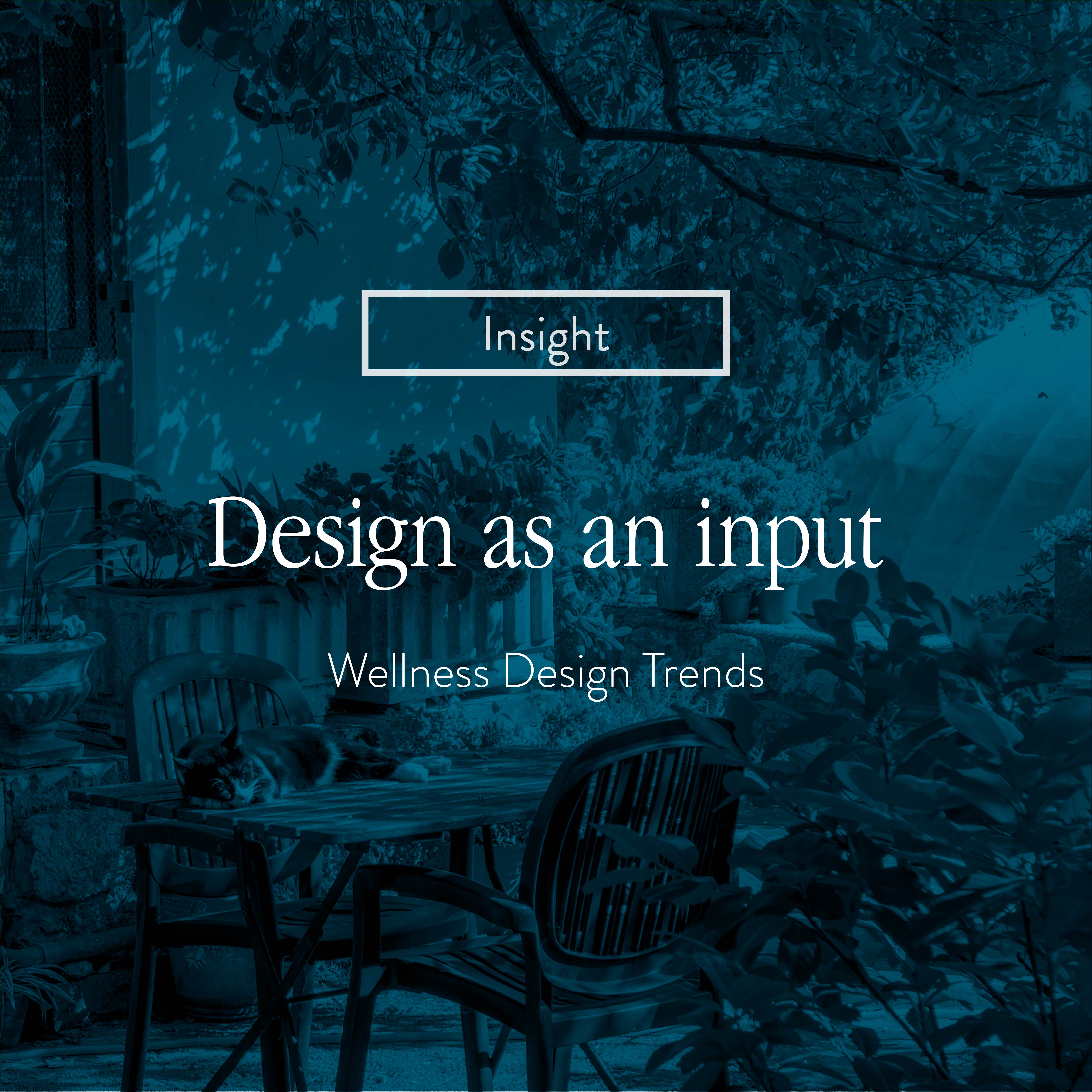 Beautiful view of Wellness Design Innovation Trends